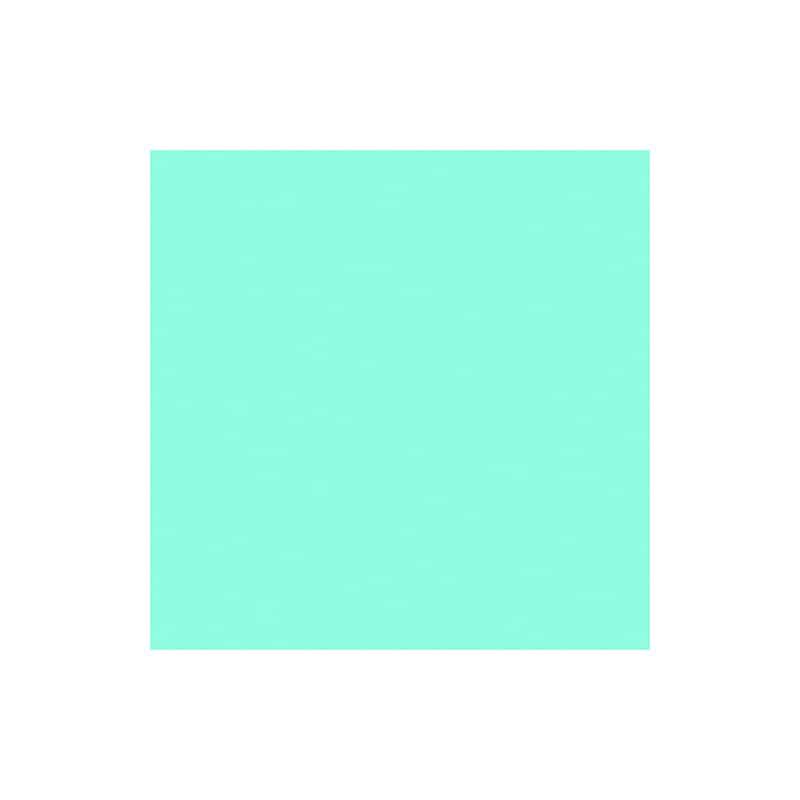 ROULEAU ADHESIF VINYLE AU METRE ASPECT MAT MENTHE ROULEAU ADHESIF VINYLE AU METRE ASPECT MAT MENTHE