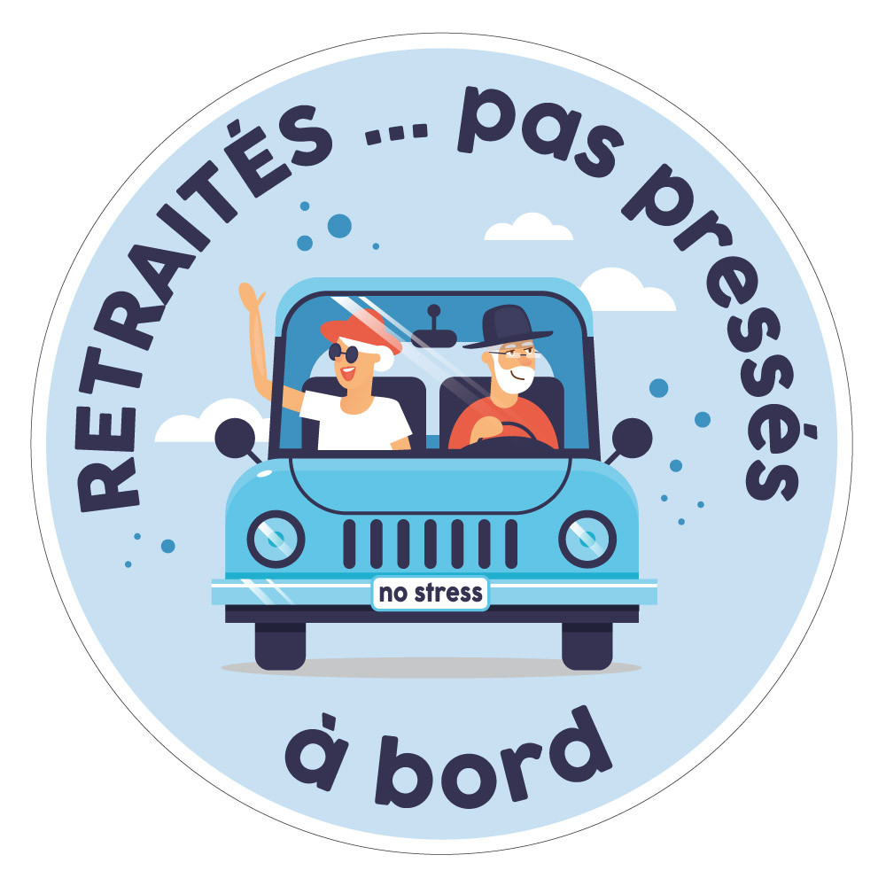 LEMLIN 4 Pièces Sticker Voiture Exterieur - Autocollant Pour