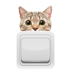STICKER INTERRUPTEUR CURIOUS CAT (INTERR022)
