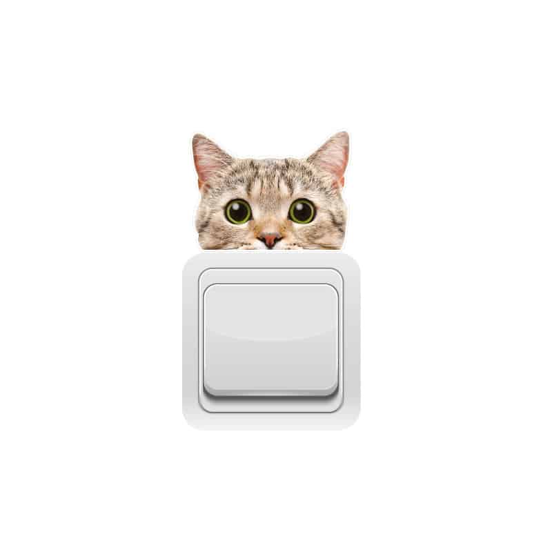 STICKER INTERRUPTEUR CURIOUS CAT (INTERR022)