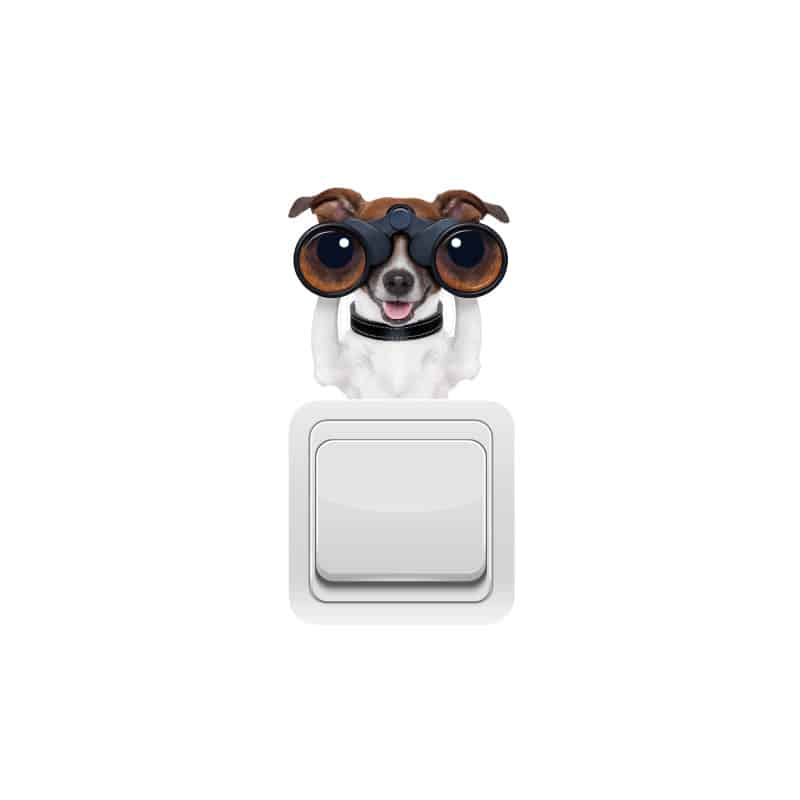 STICKER INTERRUPTEUR SPY DOG (INTERR024)