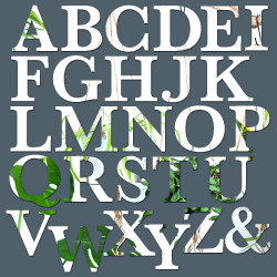 alphabet miroir argent