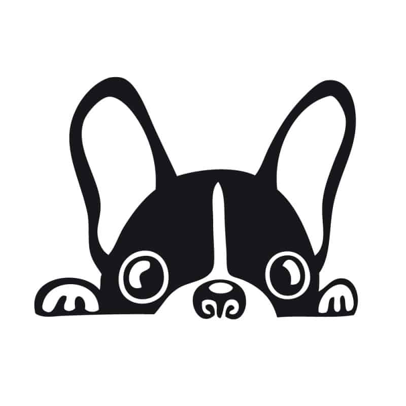 STICKER INTERRUPTEUR POOKY (INTERR073) STICKER INTERRUPTEUR POOKY (INTERR073)