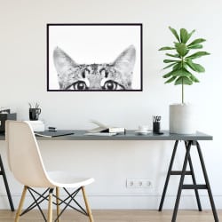 POSTER CURIOUS CAT (POST0013)