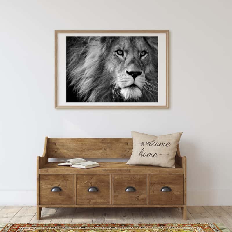 POSTER LION (POST0034)