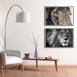 POSTER LION (POST0034)