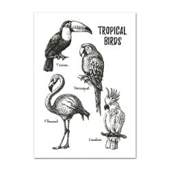 POSTER TROPICAL BRIDS (POST0040)