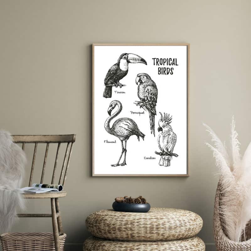 POSTER TROPICAL BRIDS (POST0040)