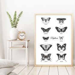 POSTER PAPILLONS (POST0041)