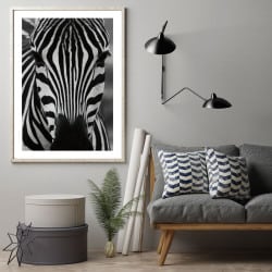 POSTER ZEBRE (POST0050)