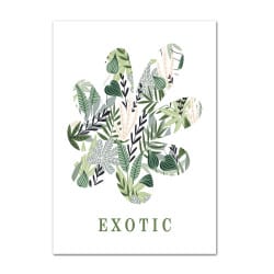 POSTER EXOTIC VERT (POST0056)