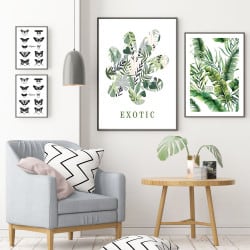 POSTER EXOTIC VERT (POST0056)