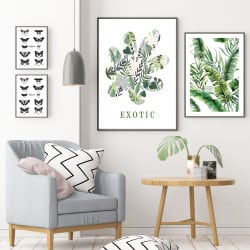 POSTER EXOTIC VERT (POST0056)