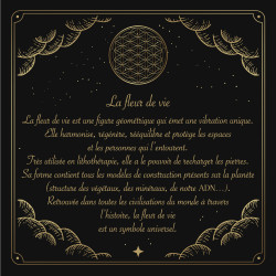 Fleur-de-lotus-explication