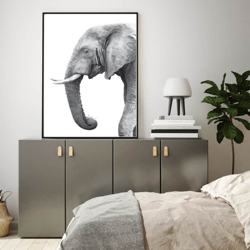 POSTER ELEPHANT NOIR ET BLANC (POST0076)