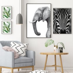 POSTER ELEPHANT NOIR ET BLANC (POST0076)