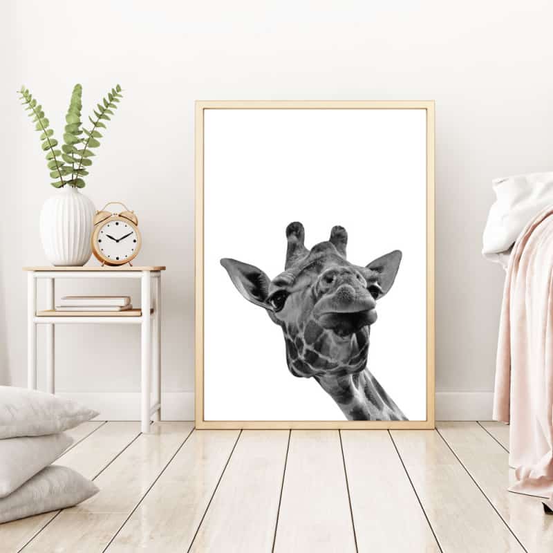 POSTER GIRAFE PHOTO NOIR ET BLANC (POST0092)