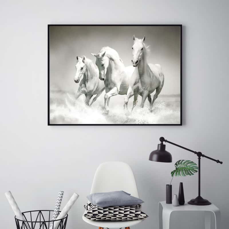 POSTER CHEVAUX (POST0124)