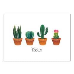 POSTER CACTUS EN POT (POST0129)