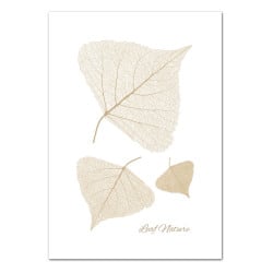 POSTER LEAF NATURE (POST0142)