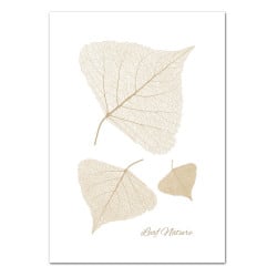 POSTER LEAF NATURE (POST0142)