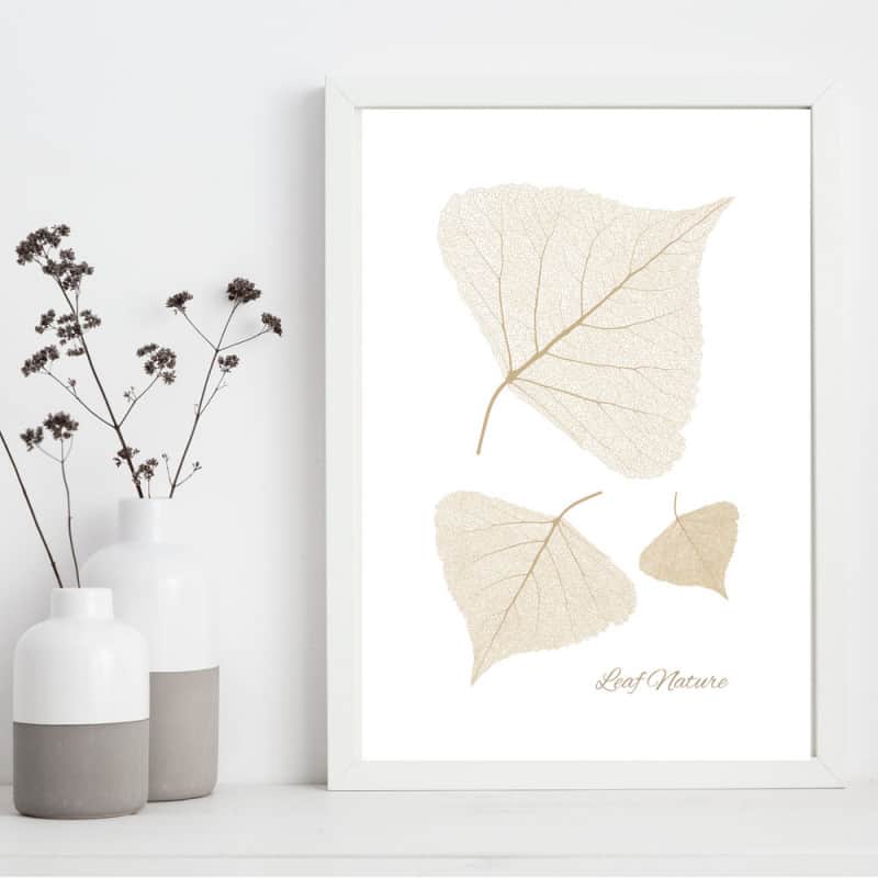 POSTER LEAF NATURE (POST0142)