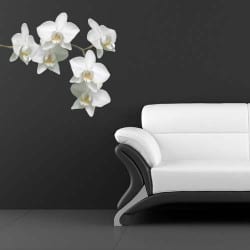 STICKER ORCHIDEE 3 (B0158)