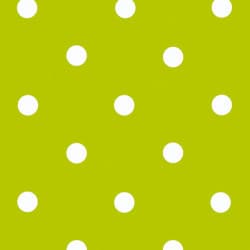 ADHESIF AU METRE ASPECT POIS VERT
