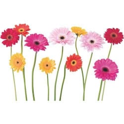 STICKER MARGUERITE (B0219)