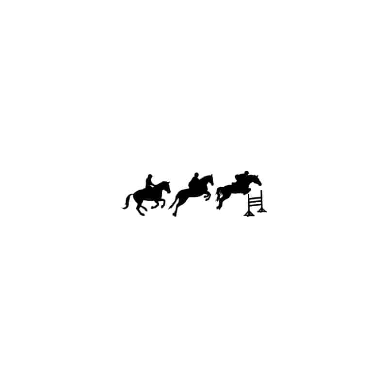 STICKERS CHEVAUX  PLANCHE 3 MOTIFS (B0260)