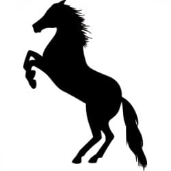 STICKER CHEVAL CABRE (B0262)