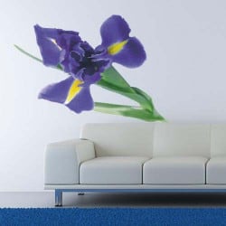 STICKERS FLEURS "IRIS" (B0312)