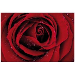 STICKERS ROSE ZOOM (CADRE) (B0332)