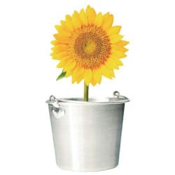 STICKERS TOURNESOL EN POT (B0343)