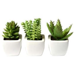 STICKERS PLANTES EN POT (B0345)