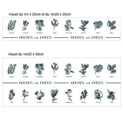 STICKER CREDENCE HERBES EPICES (CRED002)