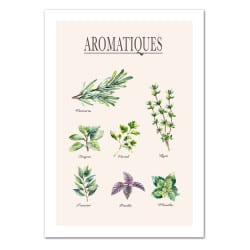 POSTER HERBES AROMATIQUES (POST0025)