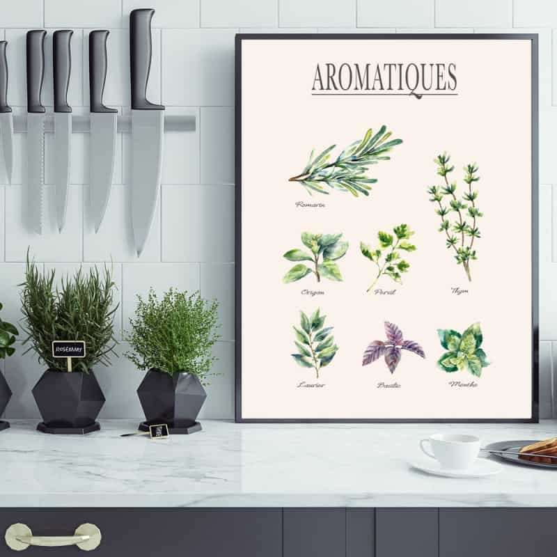 POSTER HERBES AROMATIQUES (POST0025)