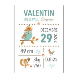 POSTER CADRE DE NAISSANCE BOY FOREST FRIENDS PERSONNALISABLE (CADRE001)