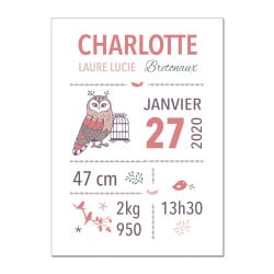 POSTER CADRE DE NAISSANCE GIRLY CHOUETTE PERSONNALISABLE (CADRE004)