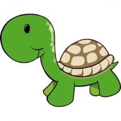 STICKERS TORTUE POUR ENFANT (E0093)