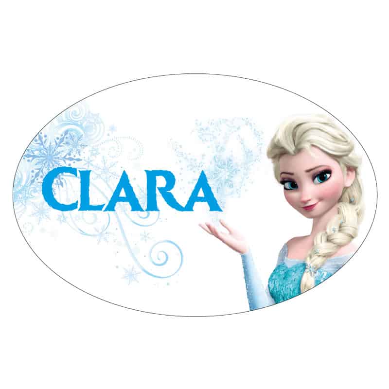 PLAQUE DE PORTE PERSONNALISABLE PRINCESSE DES GLACES (E0332)