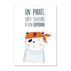 POSTER OURSON PIRATE