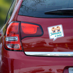 STICKER JUMEAUX A BORD (J0131)