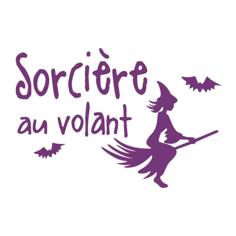 STICKER SORCIERE AU VOLANT (J0121)