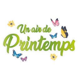 STICKER POUR VITRINE COMME UN AIR DE PRINTEMPS (PRINTEMPS008)