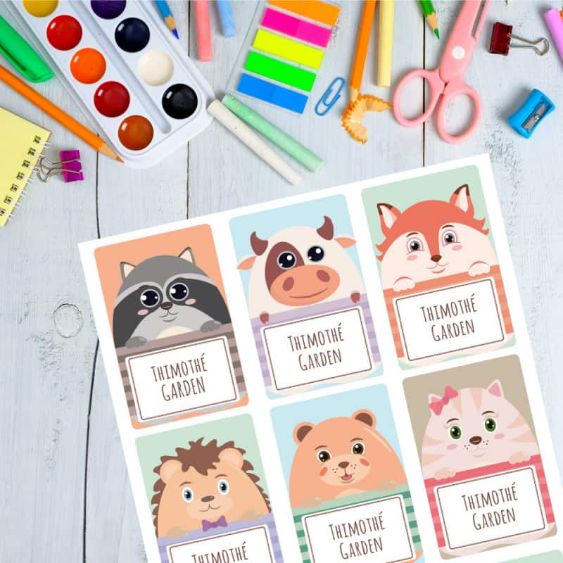 Étiquettes Adhésives Personnalisables Foot - 12 Autocollants 7x3 Cm, Pour Cahier, Fournitures Scolaires, Cadeaux
